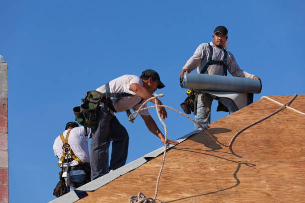 Best Metal Roofing Contractor  in Round Lake, IL