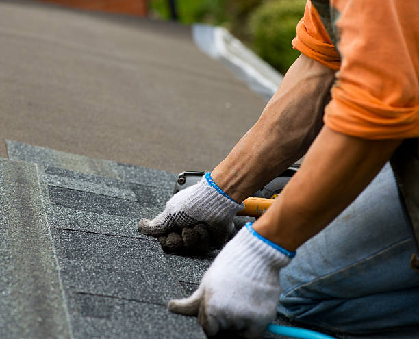 Best Roof Restoration Services  in Round Lake, IL