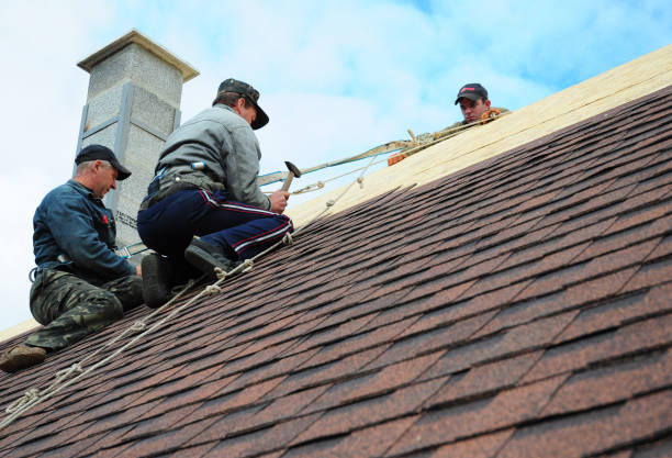 Best Commercial Roofing Services  in Round Lake, IL