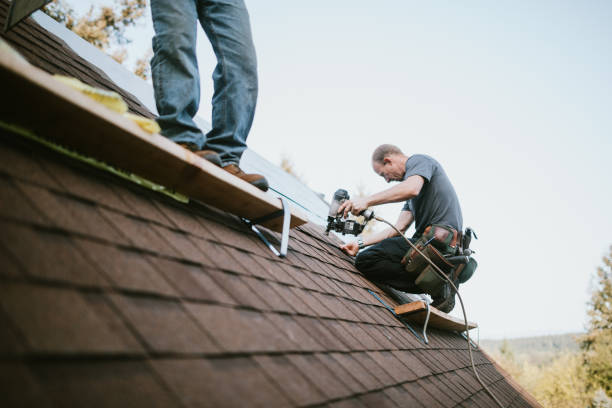 Best Roof Repair Services  in Round Lake, IL